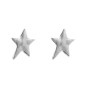Preview: Shiny Star Silver Ear Studs