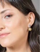 Gold Silver Bicolor Earrings